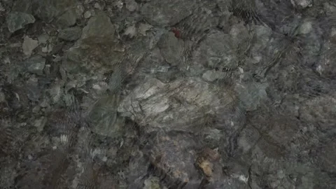 Flowing Water On The Rock Video stock 156344199