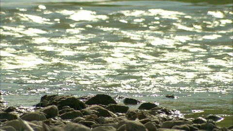 Flowing water with rocks in foreground Video stock 95601419