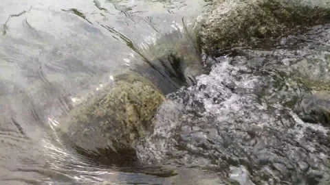 Flowing water with rocks in a river in Peru Vidéo 283208680