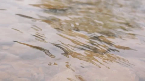 Flowing water of shallow river Stock Footage 248652597