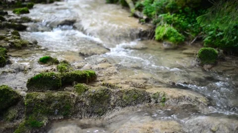 Flowing water of small creek inside green forest in spring Stock Footage 46220632