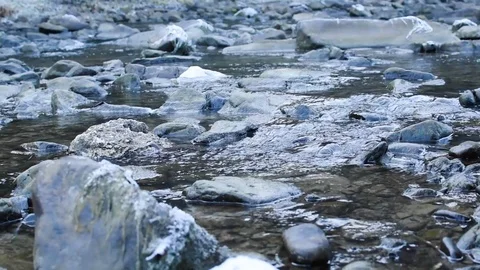 Flowing water of a small river between stones Stock Footage 123010583