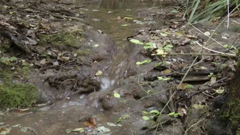 Flowing water from a small stream. Video stock 154889837