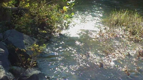 Flowing Water in Stream Stock Footage 43068453