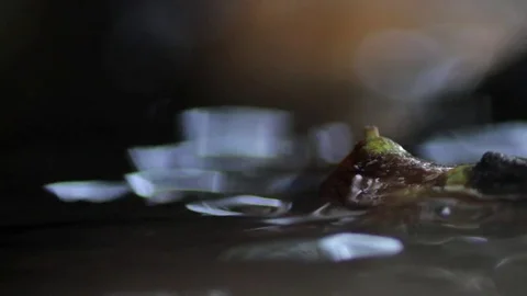 Flowing Water Stream Stock Footage 77514800