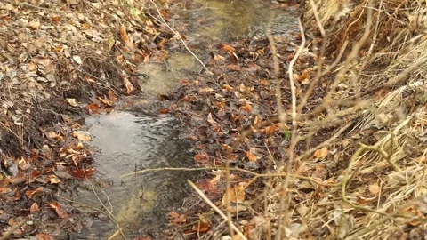 Flowing water stream Stock Footage 150560180