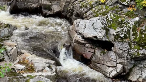 Flowing Water in a Stream Stock Footage 165380429