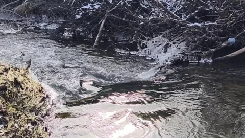 Flowing water stream Stock Footage 262007406