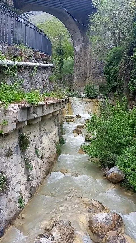 Flowing water of a stream Stock Footage 311873842