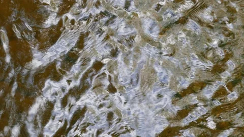 Flowing water in a stream, Germany Stock Footage 282708149