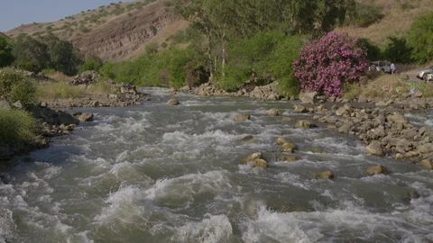 Flowing water stream Slow Motion Stock-Footage 76208331