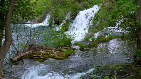 Flowing water stream with waterfall in forest Video stock 153536360