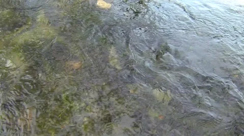 Flowing water surface Stock Footage 48969377