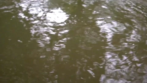 Flowing water surface, streams, and close-up with clean forest stream. Stock Footage 157243066
