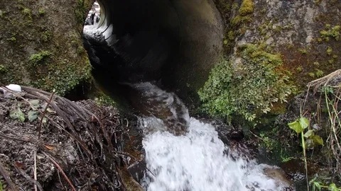 Flowing water through pipe in the forest Stock Footage 83708182