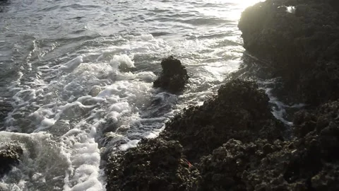 The flowing water through the reef at the beach Stock Footage 168366151