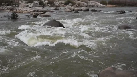 Flowing water through rocks and land, mind relaxing video with sound Stock Footage 291601677