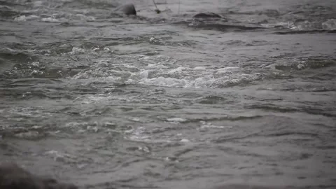 Flowing water through rocks and land, mind relaxing video with sound Stock Footage 291601739