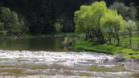 The flowing water of a tranquil river with tiny falls. Lavish green, idyllic Stock Footage 63782468