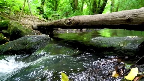 Flowing water under a pathway Stock Footage 258769591