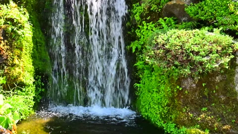 Flowing Water of the Waterfall Stock-Footage 330717702