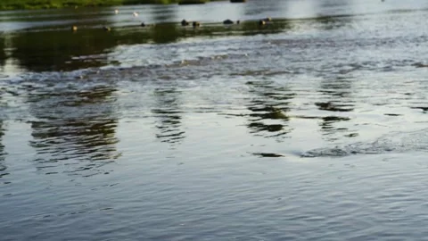 Flowing water with waves on the river , View of the river from the shore, Stock Footage 253300462