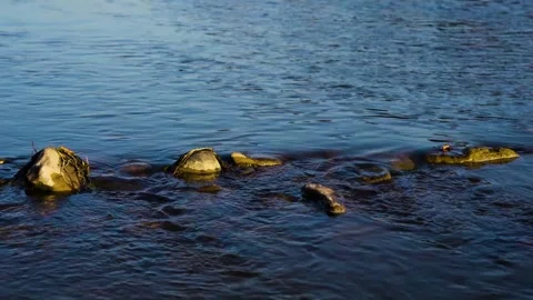 Flowing water with waves on the river , View of the river from the shore, Stock Footage 253300703