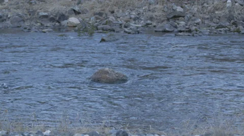 Flowing Water Wide 動画素材 27494446