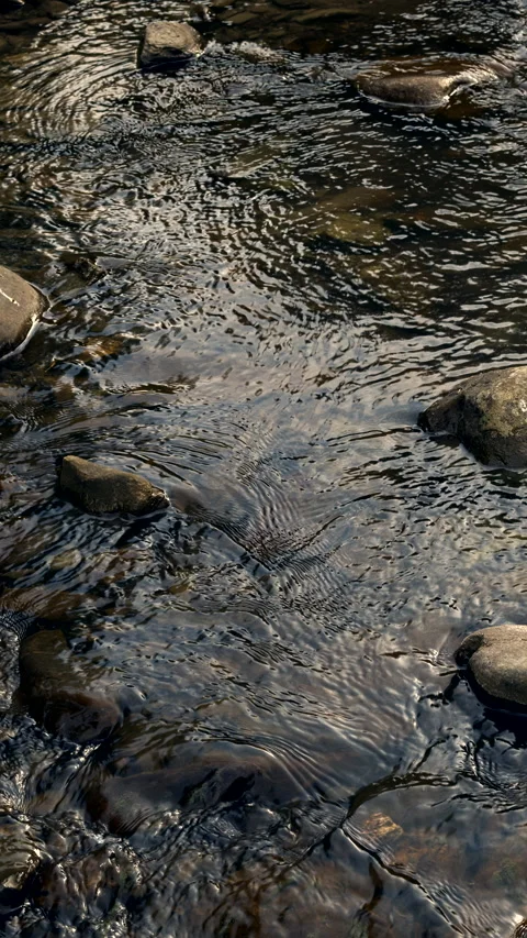 Flowing water in wild mountain stream  background. Vertical video. Stock Footage 284313500
