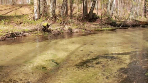 Flowing water wild river Stock Footage 50097735