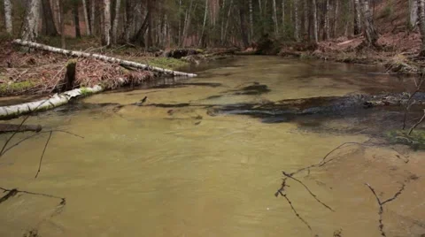 Flowing water wild river Stock Footage 50097742