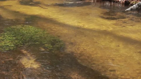 Flowing water wild river Stock Footage 50097745