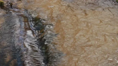 Flowing water wild river Stock Footage 50097747