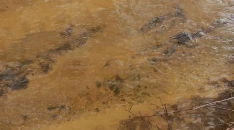 Flowing water wild river Stock Footage 50097755