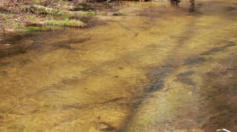 Flowing water wild river Stock Footage 50097759