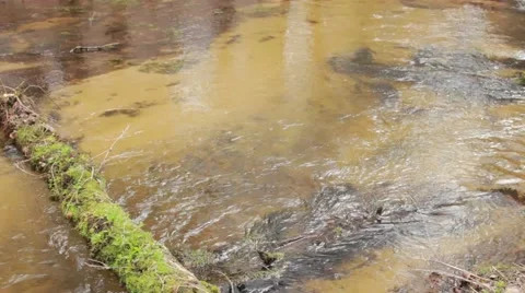 Flowing water wild river Stock Footage 50097763