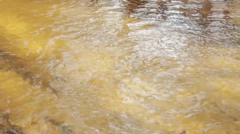 Flowing water wild river Stock Footage 50097765