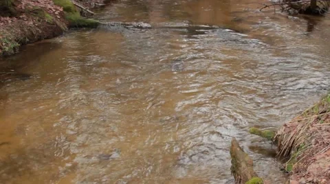 Flowing water wild river Stock Footage 50097769