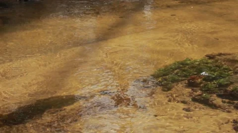 Flowing water wild river Stock Footage 50097770