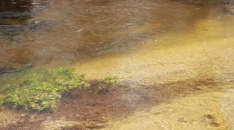 Flowing water wild river Stock Footage 50097771
