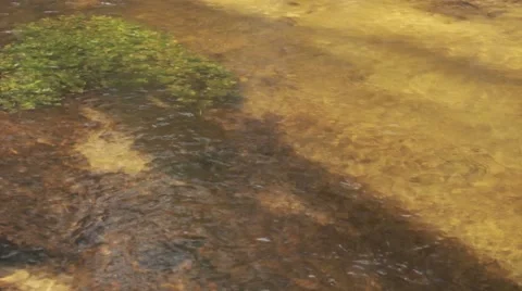 Flowing water wild river Stock Footage 50097779