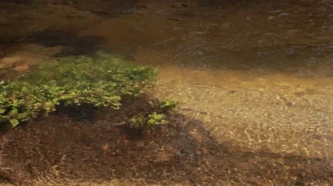 Flowing water wild river Stock Footage 50097781