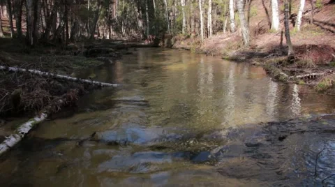 Flowing water wild river Stock Footage 50097782
