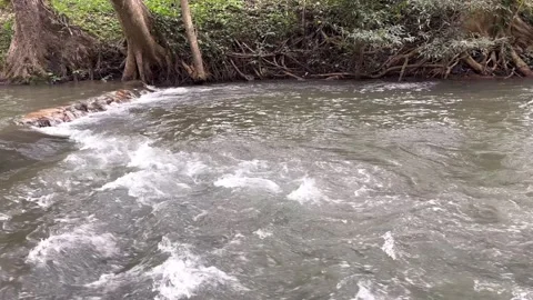 Flowing water1 Stock Footage 323242566