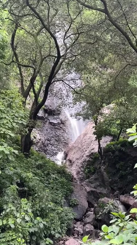 Flowing Waterfall and Rocky Stream Framed by Lush Green Trees Vídeos de archivo 342263763
