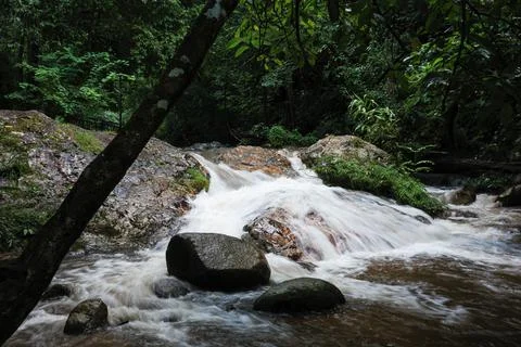 Flowing waterfall over rocks inside tropical rainforest. Stock Photos