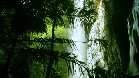 Flowing Waterfall Seen Through Tropical Plants Stock Footage 62809298