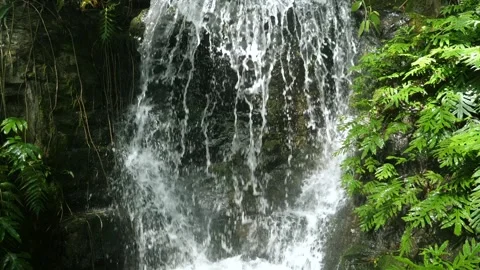 Flowing waterfall in tropical rainforest, surrounded by lush foliage, Stock Footage 289402046
