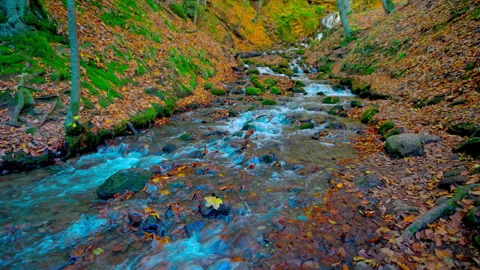 Flowing waterfall view with autumn colors 8k video Stock Footage 320788951