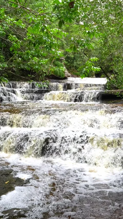 Flowing Waterfalls Cascading Through Lush Greenery Stock Footage 336521218